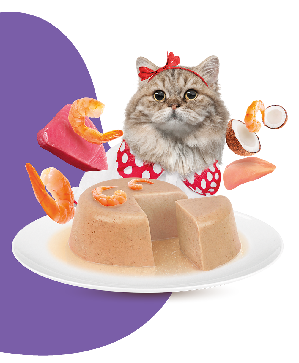 Moochie Cat Food Pate with Prawn - Hairball Care Pouch 70g Pack of 12