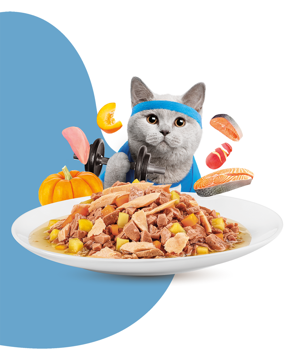 Moochie Cat Food Mince with Salmon - Weight Control Pouch 70g Pack of 12