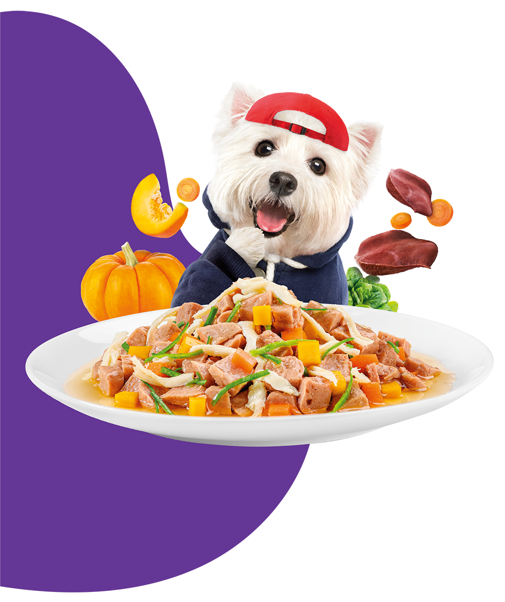 Moochie Dog Food Casserole with Chicken Liver - Digestive Care Pouch 85g Pack of 12