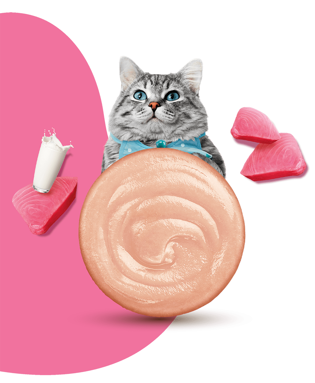 Moochie Cat Food Tuna Mousse with Goat Milk Pouch 70g Pack of 12