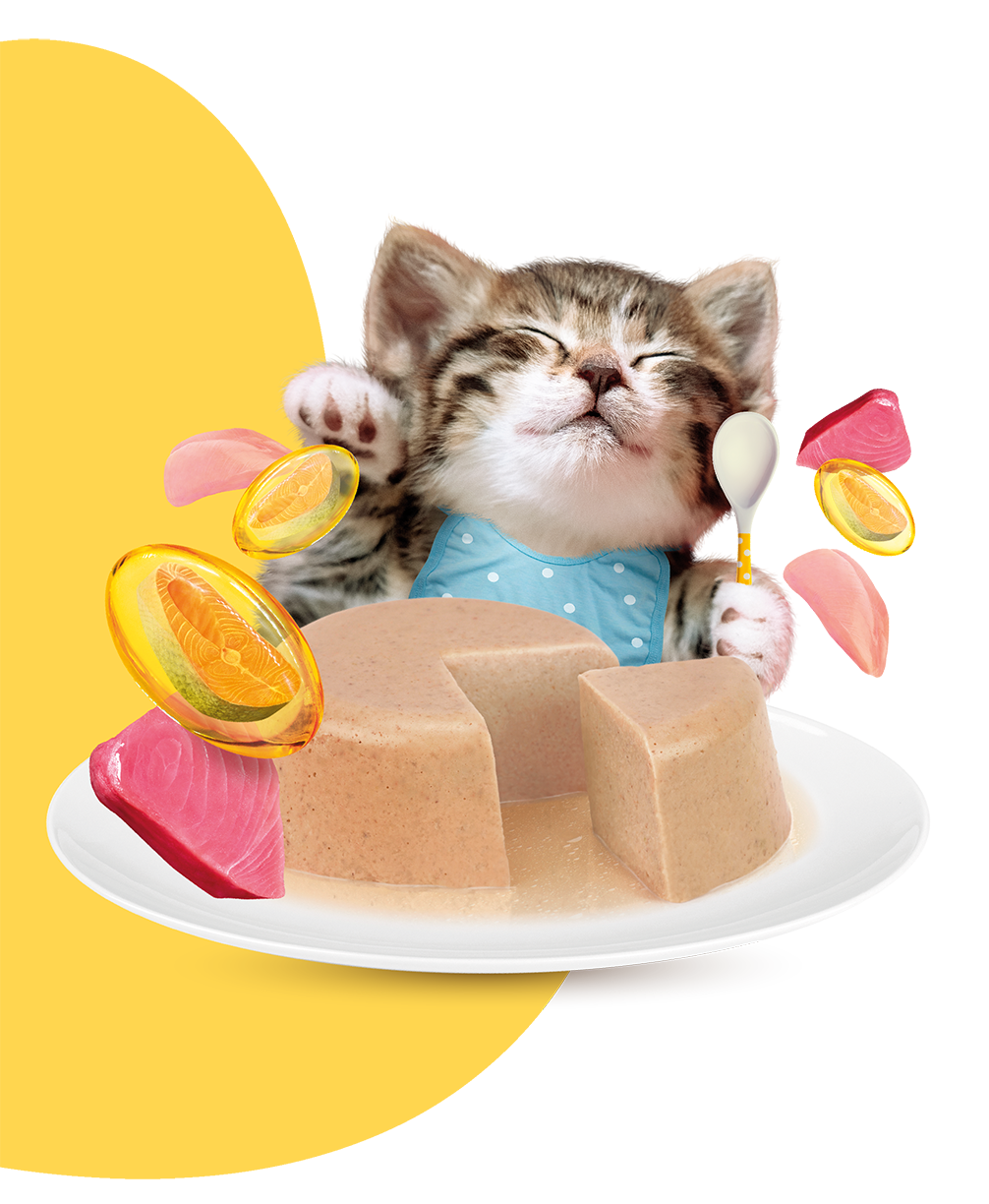 MOOCHIE KITTEN MOUSSE TUNA & CHICKEN RECIPE 70g Pouch Pack of 12