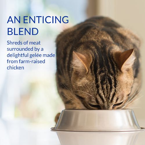 Inaba Chicken Stew with Tuna 40g - Pack of 12