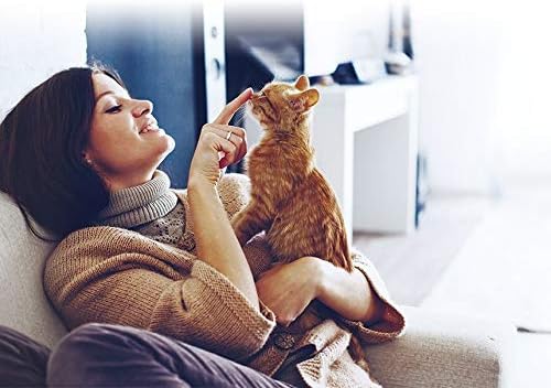 Inaba Chicken Recipe - Twins Cup Cat Treats 70g - Pack of 12