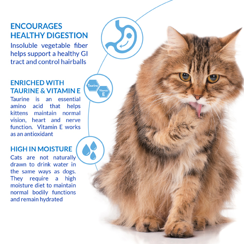 Inaba Churu Hairball Control Chicken - 56g - Pack of 12