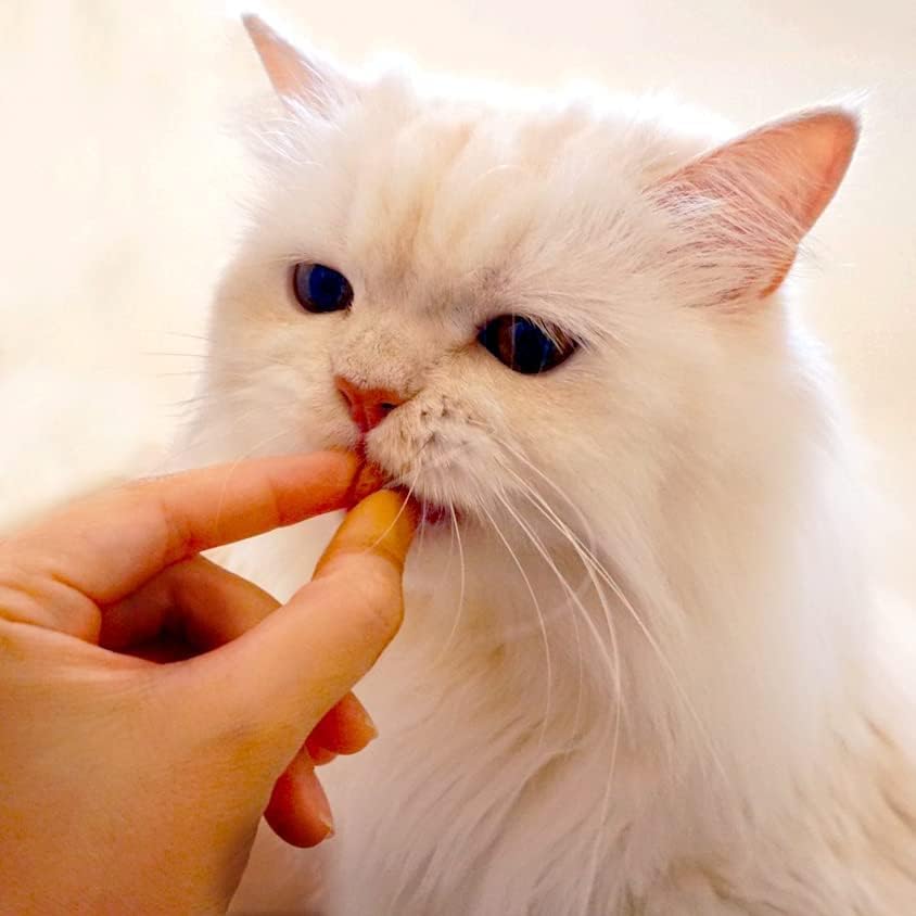 Inaba Churu Fun Bites Chicken Wraps Chicken Recipe Cat Treats 60g - Pack of 12