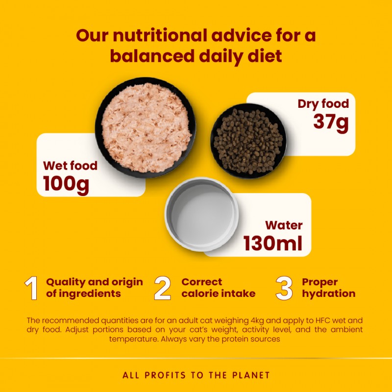 Almo Nature Urinary Help Chicken Fillet with Cranberries Wet food 50 g