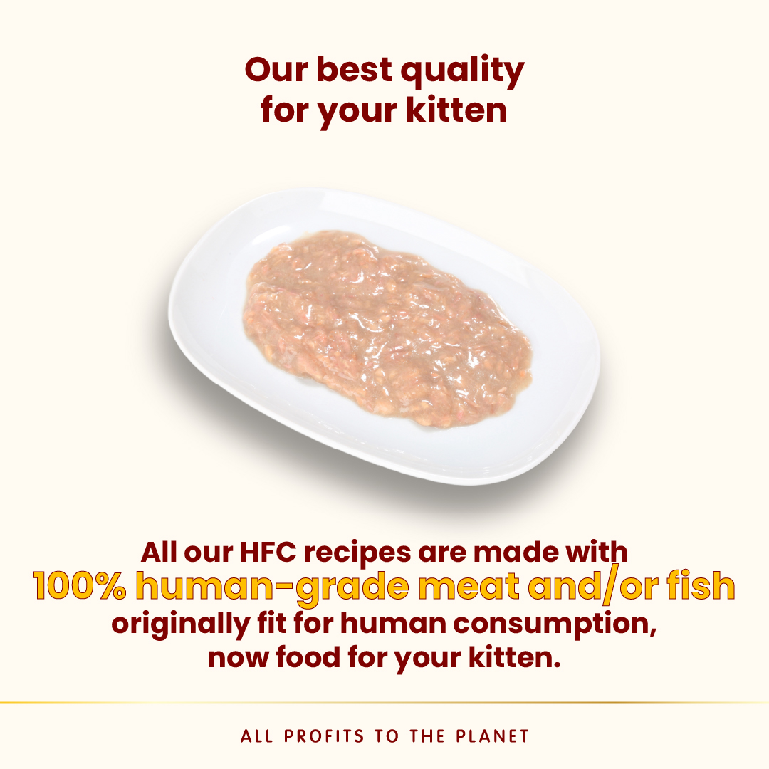 Almo Nature Kitten - Salmon and Tuna Wet food 70 g