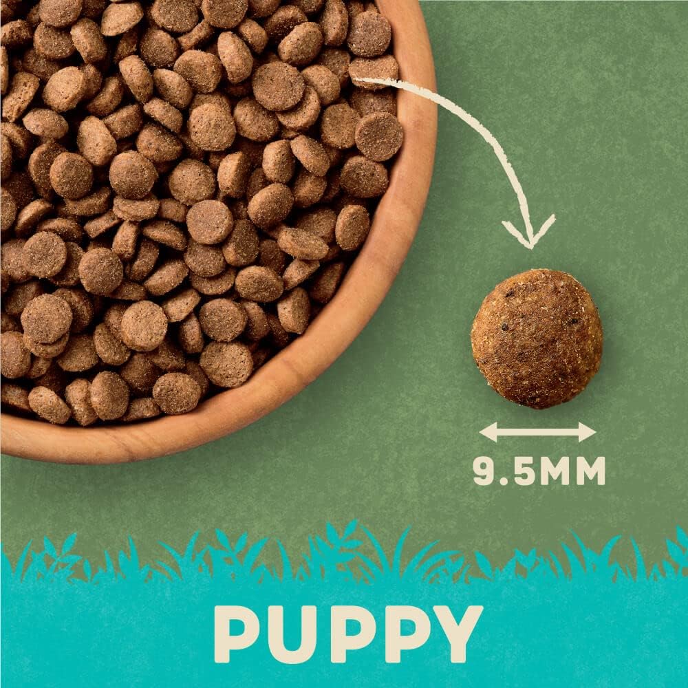 Harringtons Complete Salmon & Rice Dry Puppy Food 10kg