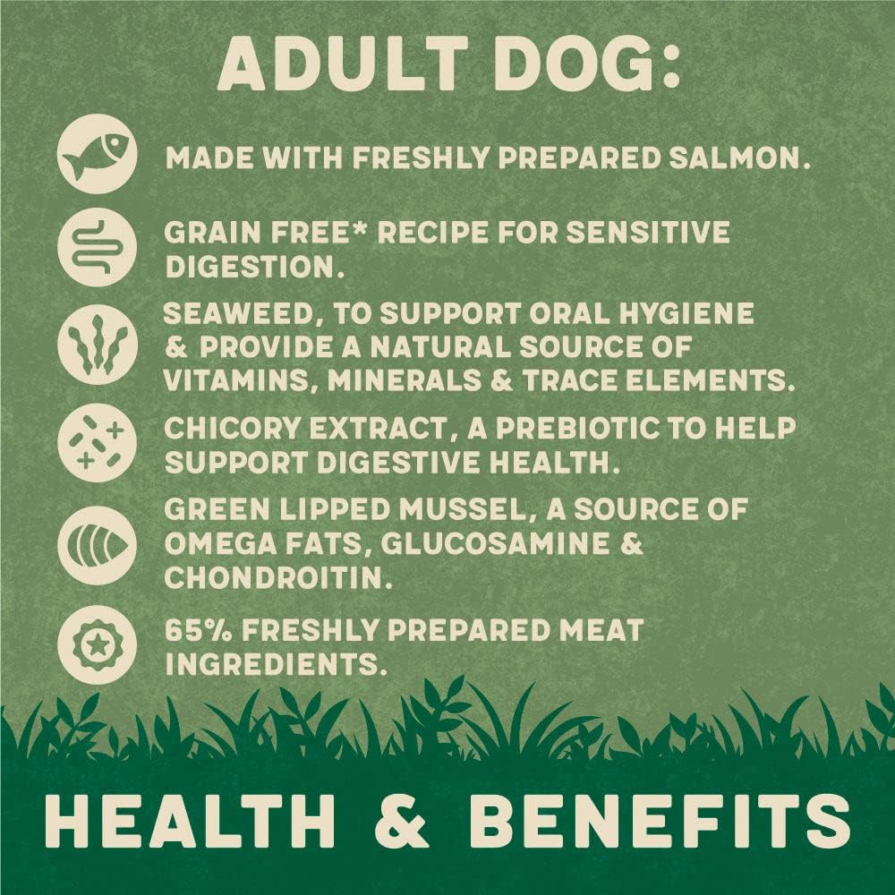 Harringtons Salmon Grain Free Adult Wet Dog Food 400g