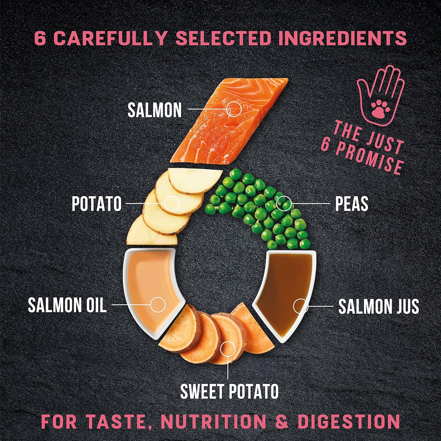 Harringtons Just 6 Salmon Grain Free Adult Dry Dog Food 12KG