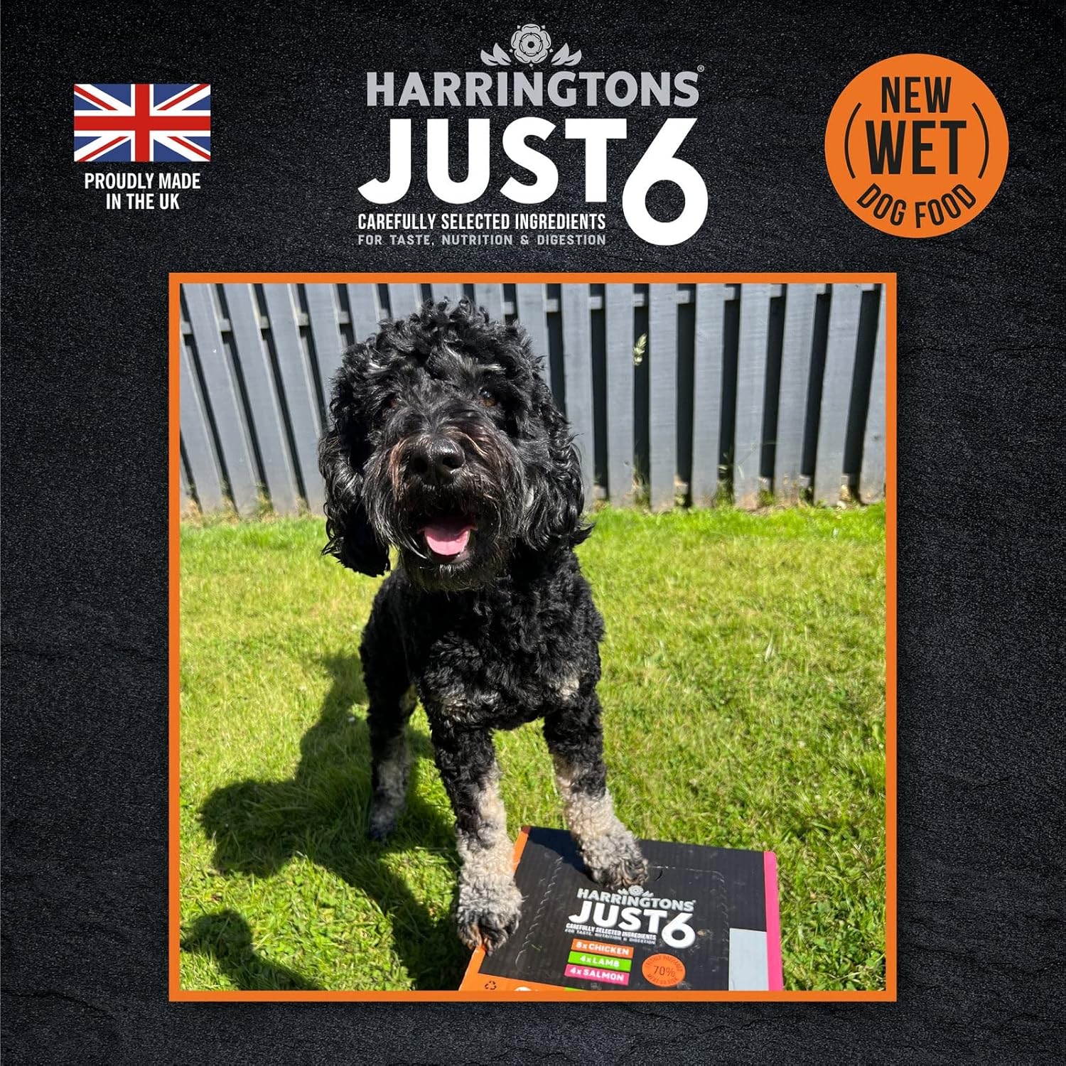 Harringtons Just 6 Chicken Grain Free Adult Wet Dog Food 380g