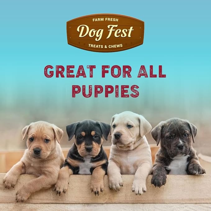 Dog Fest Calcium Bones with Duck Puppy Treats - 90g