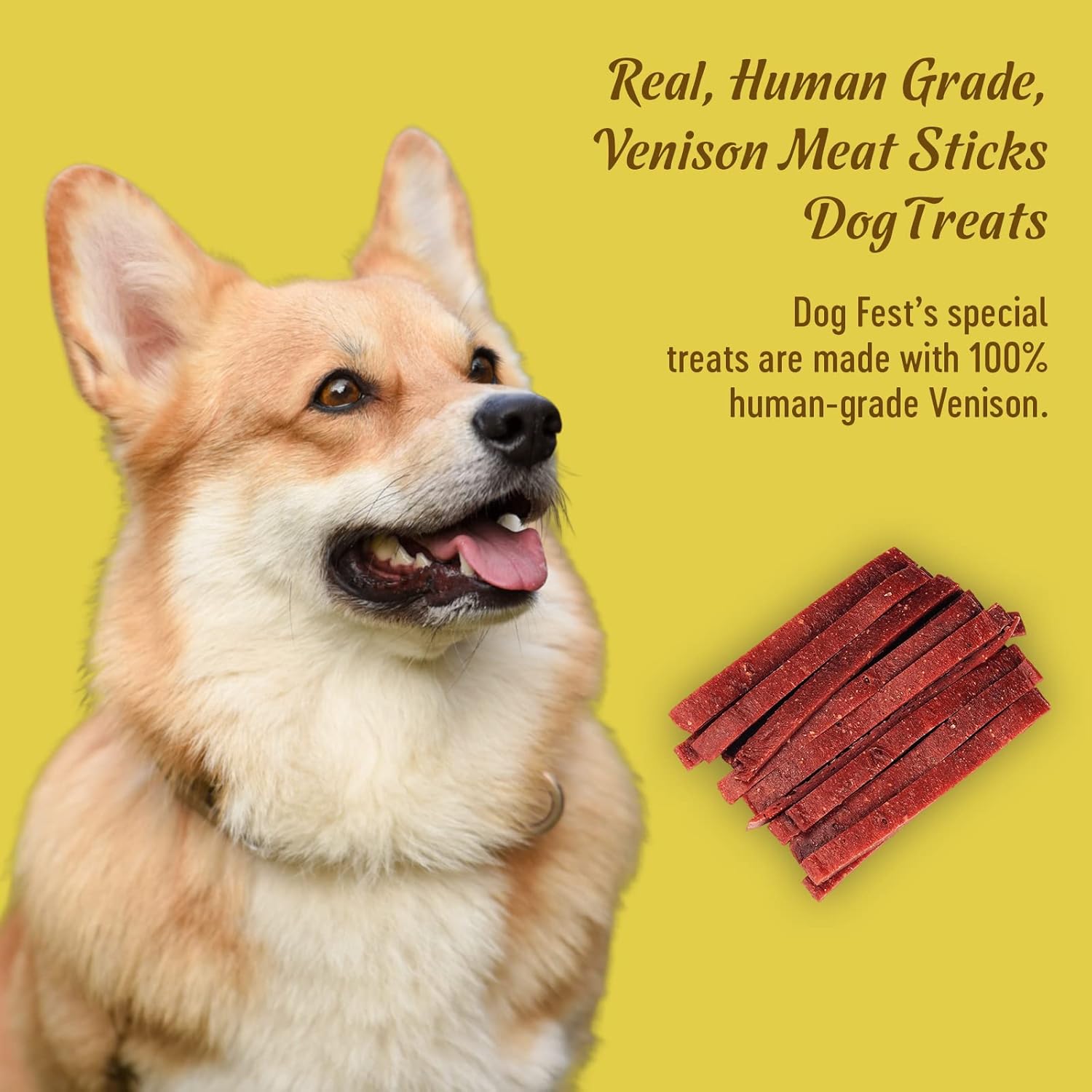 Dog Fest Meat Slices with Venison Dog Treats - 90g