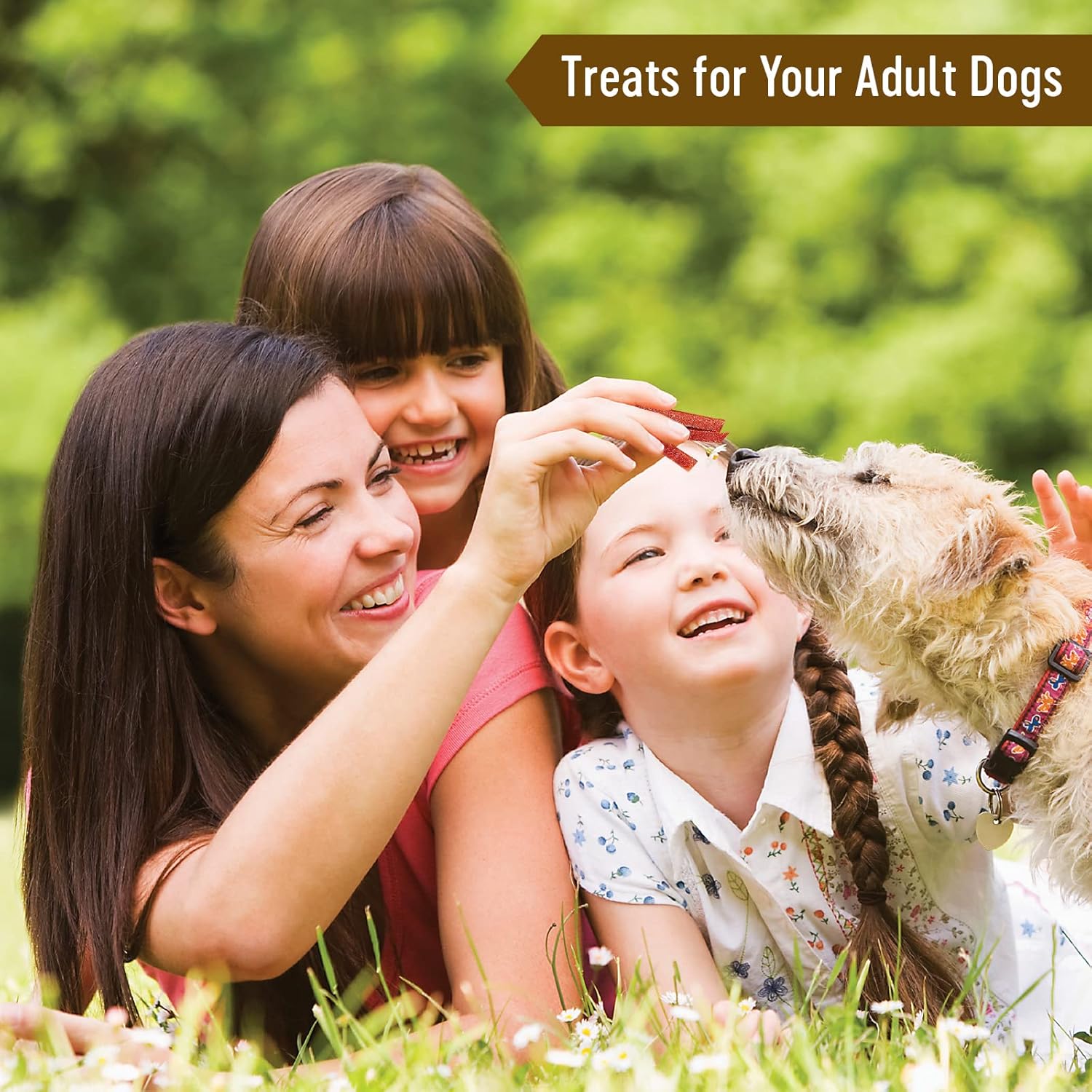 Dog Fest Turkey Slices Dog Treats - 90g