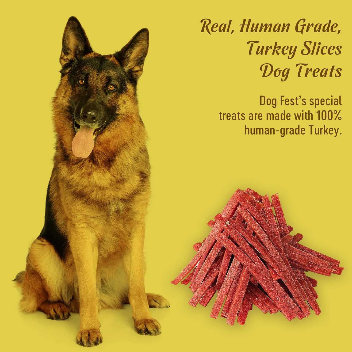 Dog Fest Turkey Slices Dog Treats - 90g