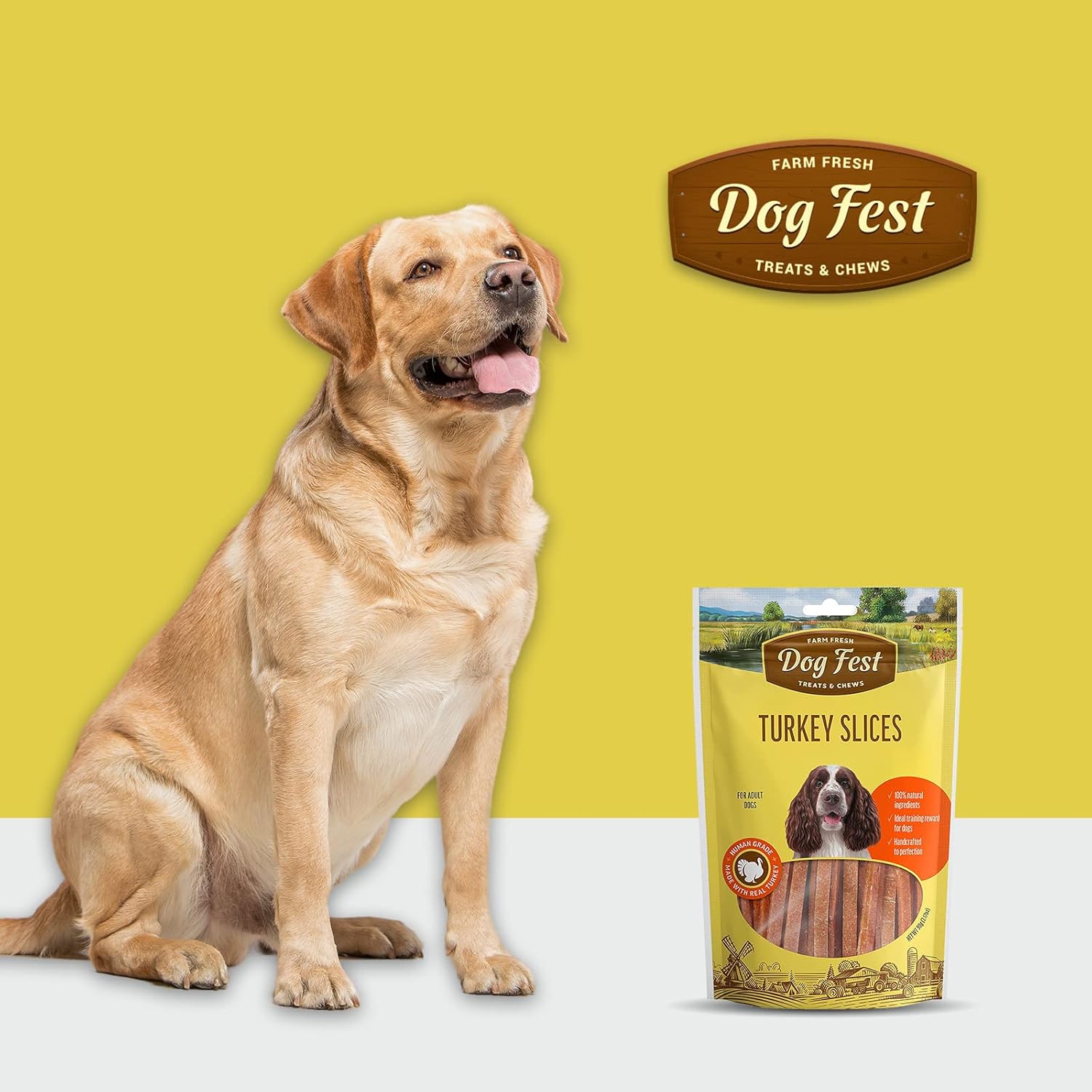 Dog Fest Turkey Slices Dog Treats - 90g