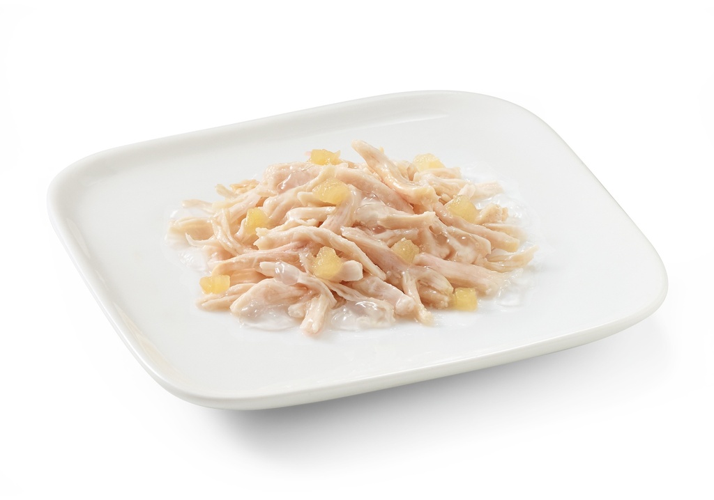 Schesir Dog Wet Food-Chicken Fillets With Apple - 150g