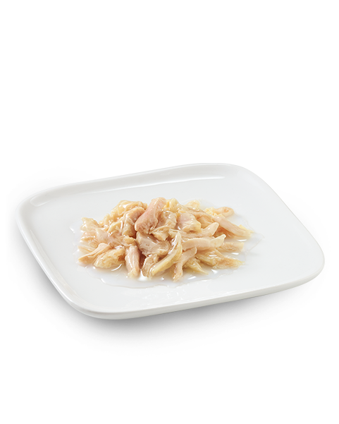 Schesir Dog Wet Food Can-Chicken Natural Style - 85g