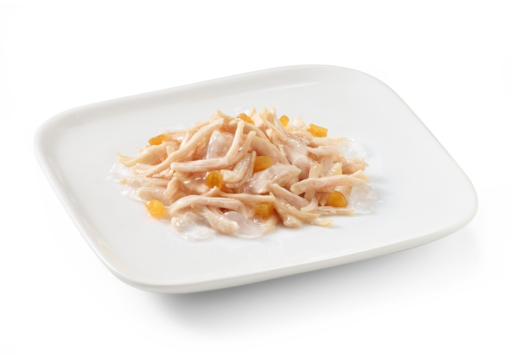 Schesir Dog Wet Food-Chicken Fillets With Papaya - 150g