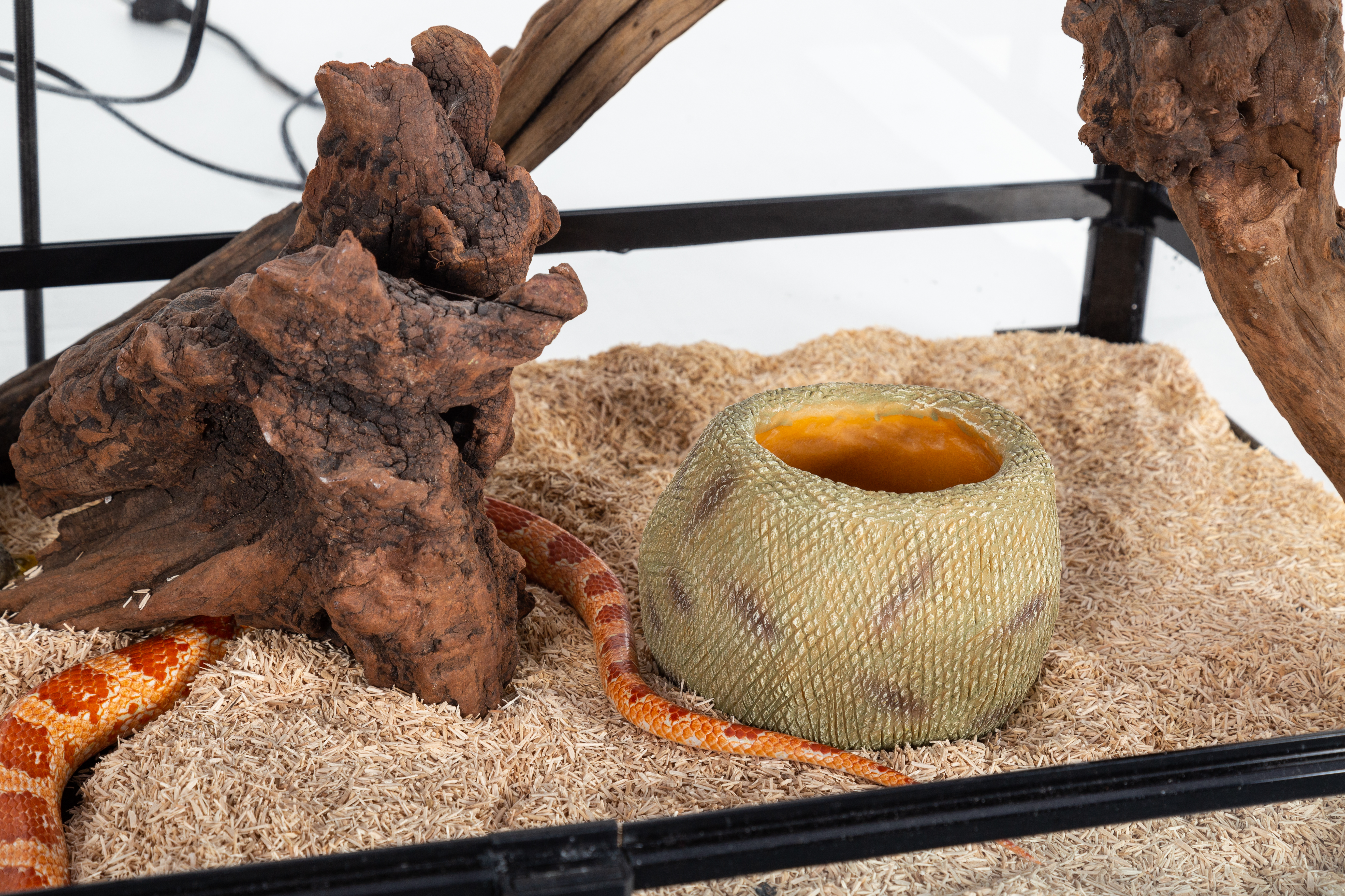 ReptiWorks Snake Water Dish, Large
