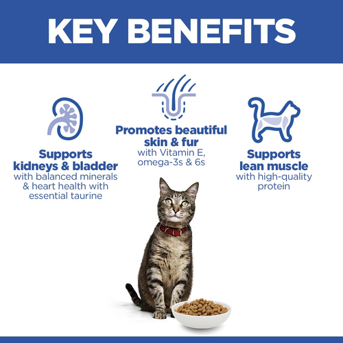 Hill’s Science Plan Adult Cat Food With Salmon (1.5kg)