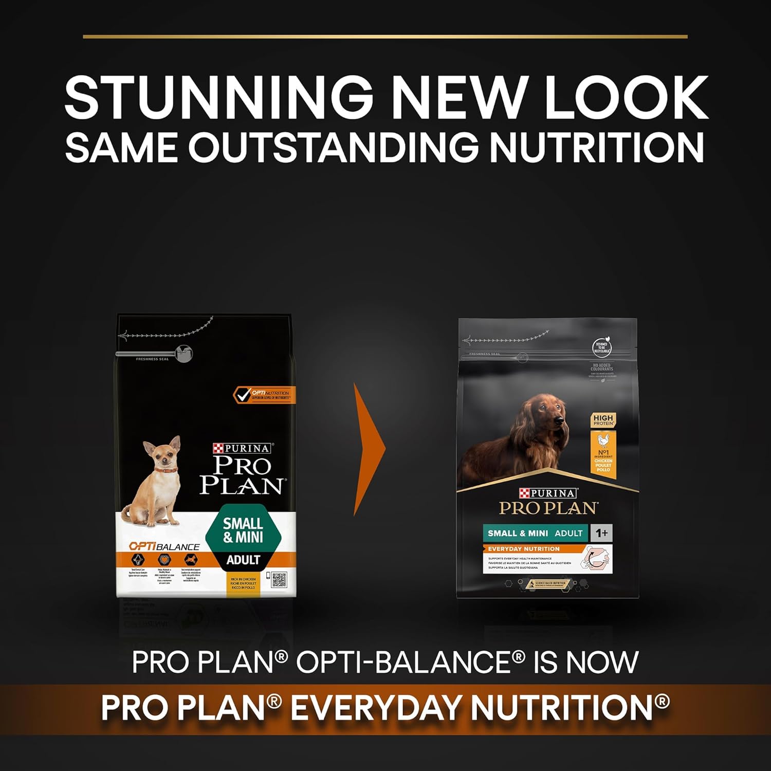 Purina Pro Plan Everyday Nutrition Small and Mini Adult, Dry Dog food with Chicken, 7 kg