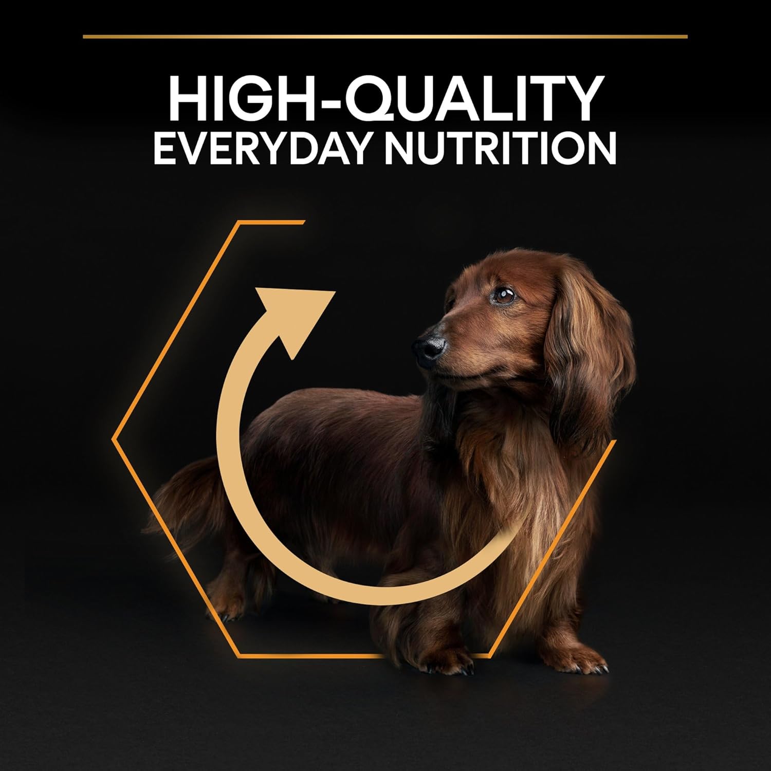 Purina Pro Plan Everyday Nutrition Small and Mini Adult, Dry Dog food with Chicken, 14 kg
