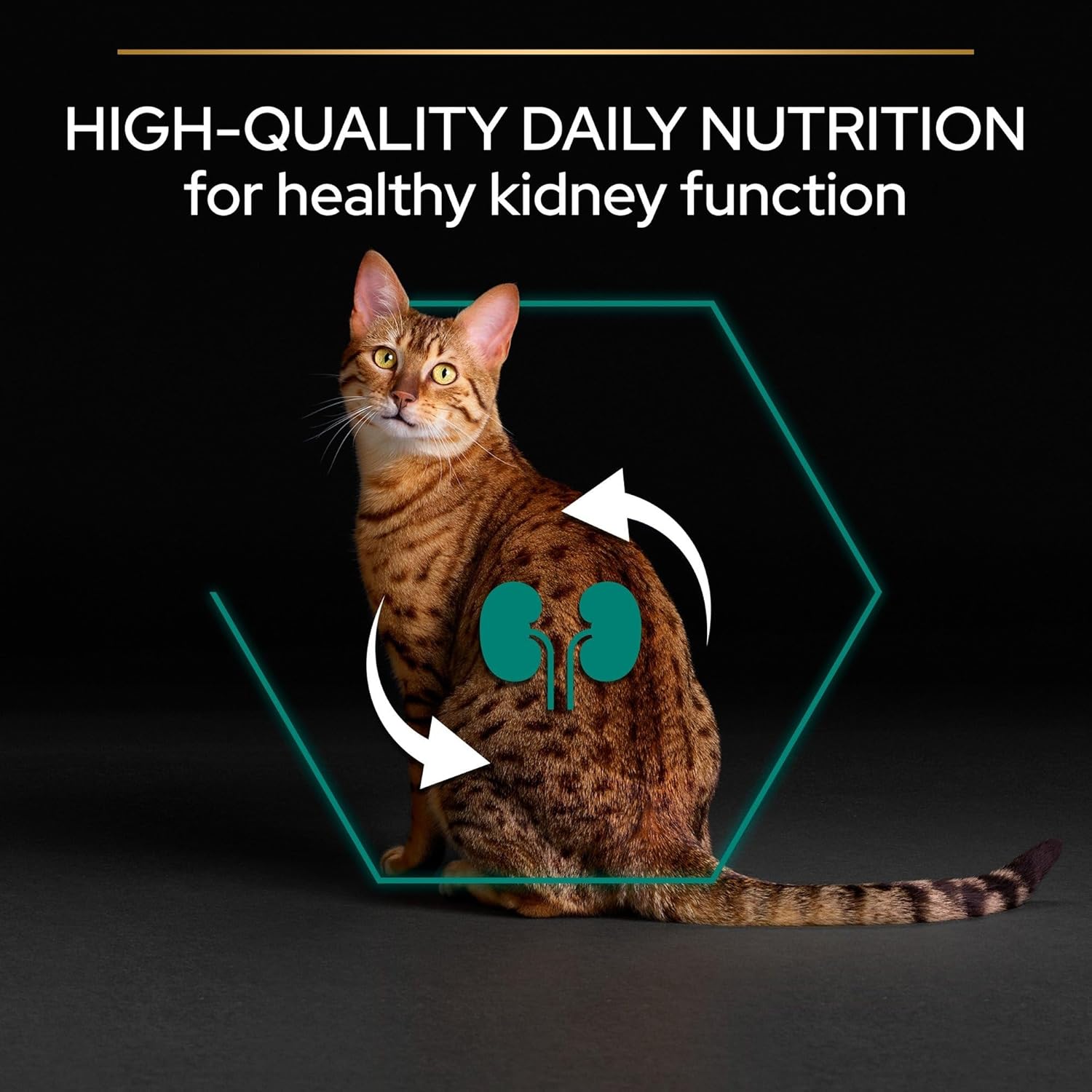 Pro Plan Adult Renal Plus Everyday Dry Cat Food with Chicken, 10 kg