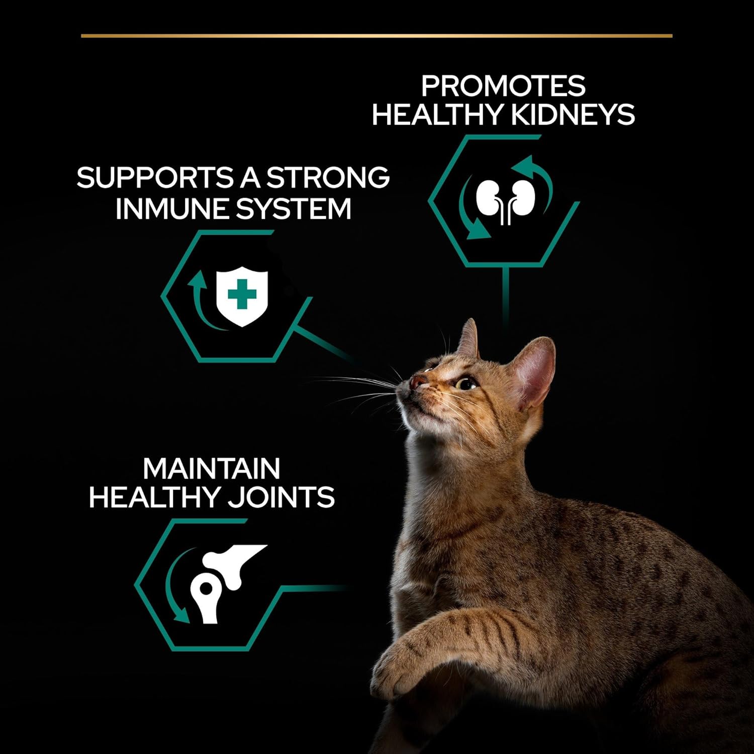Pro Plan Adult Renal Plus Everyday Dry Cat Food with Chicken, 10 kg