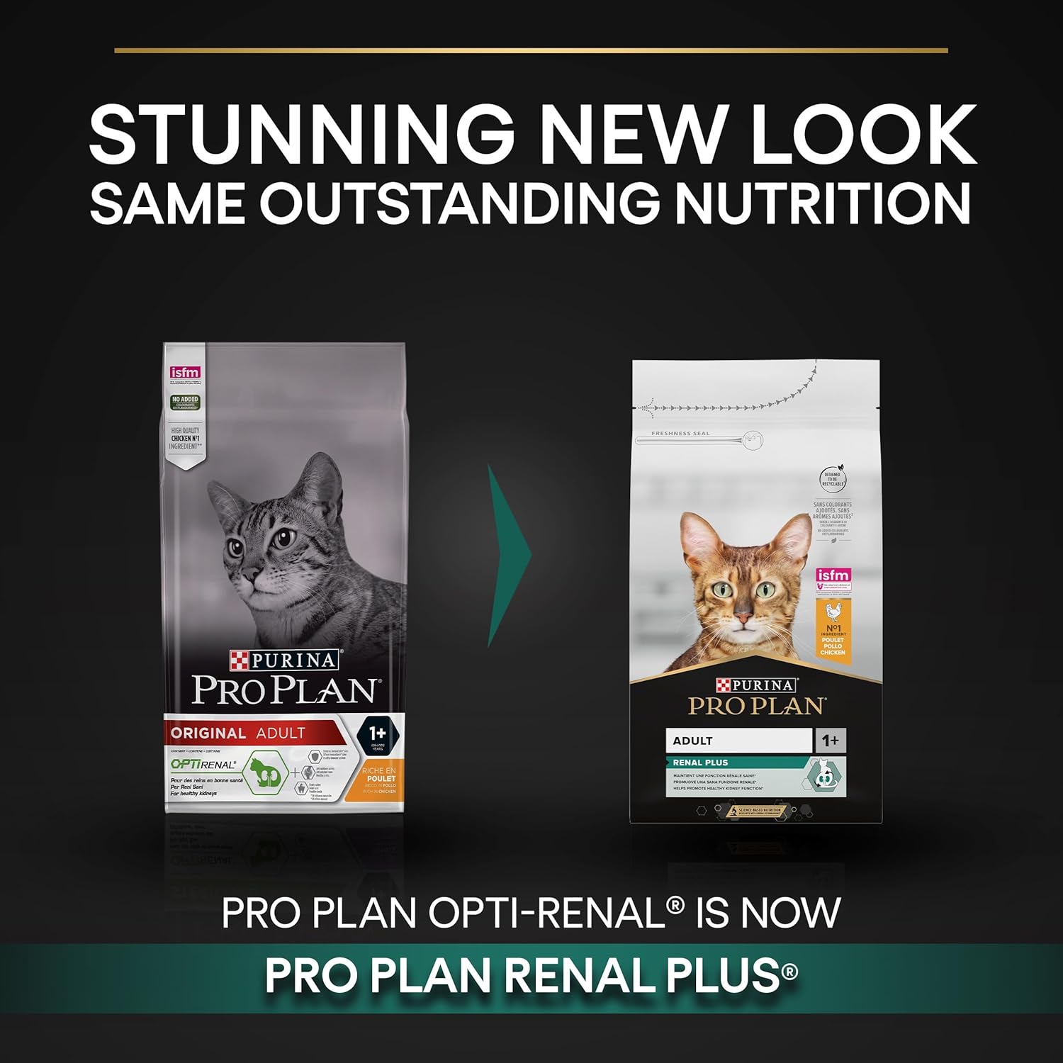Pro Plan Adult Renal Plus Everyday Dry Cat Food with Chicken, 10 kg