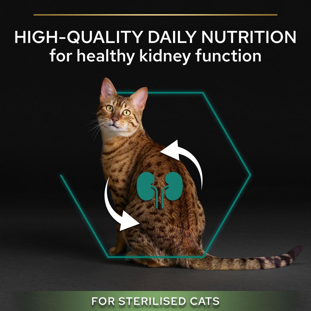 Purina Pro Plan Sterilised Adult Renal Plus Dry Cat Food with Turkey, 10 kg