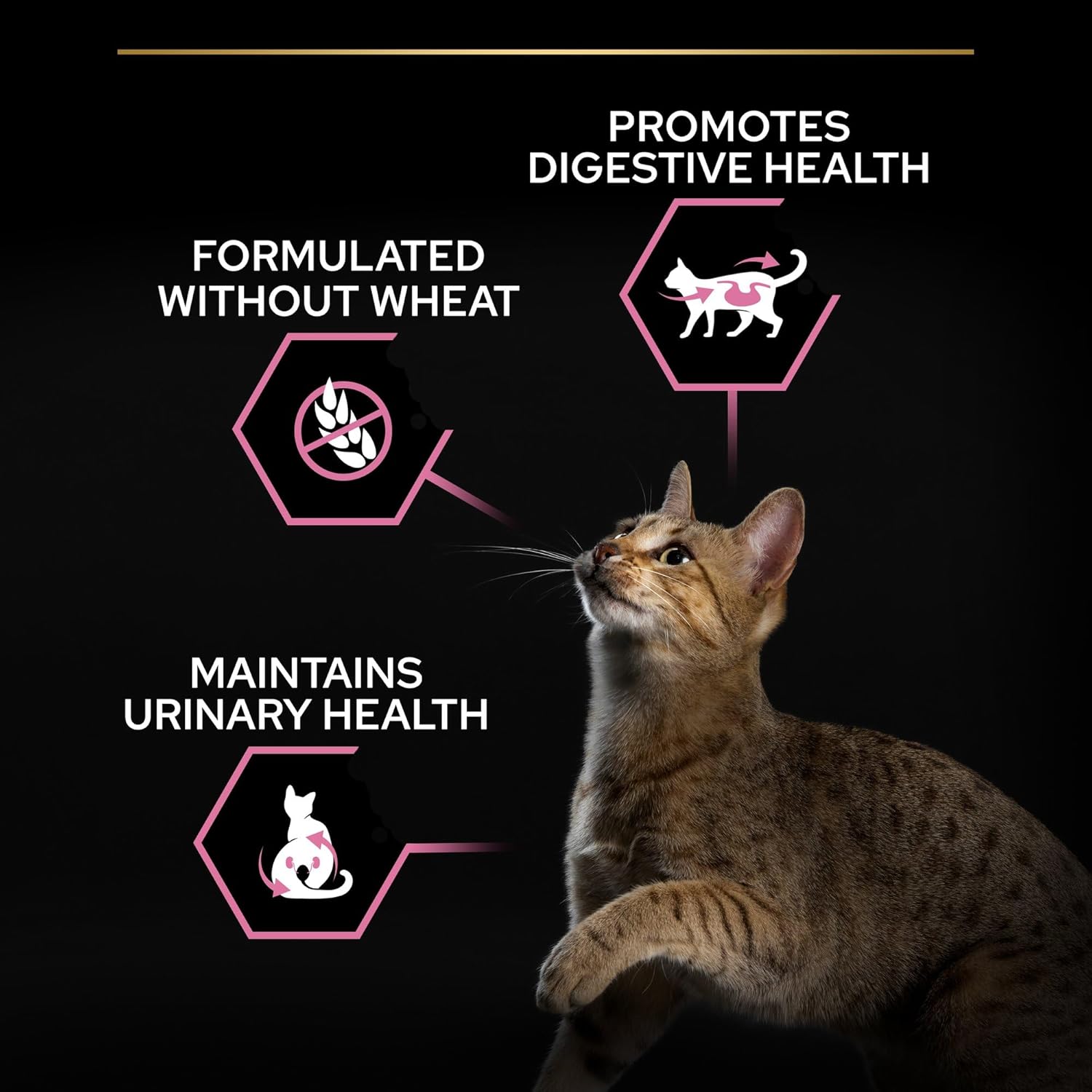 Purina Pro Plan Sterilised Adult Delicate Digestion Dry Cat Food with Chicken, 3 kg