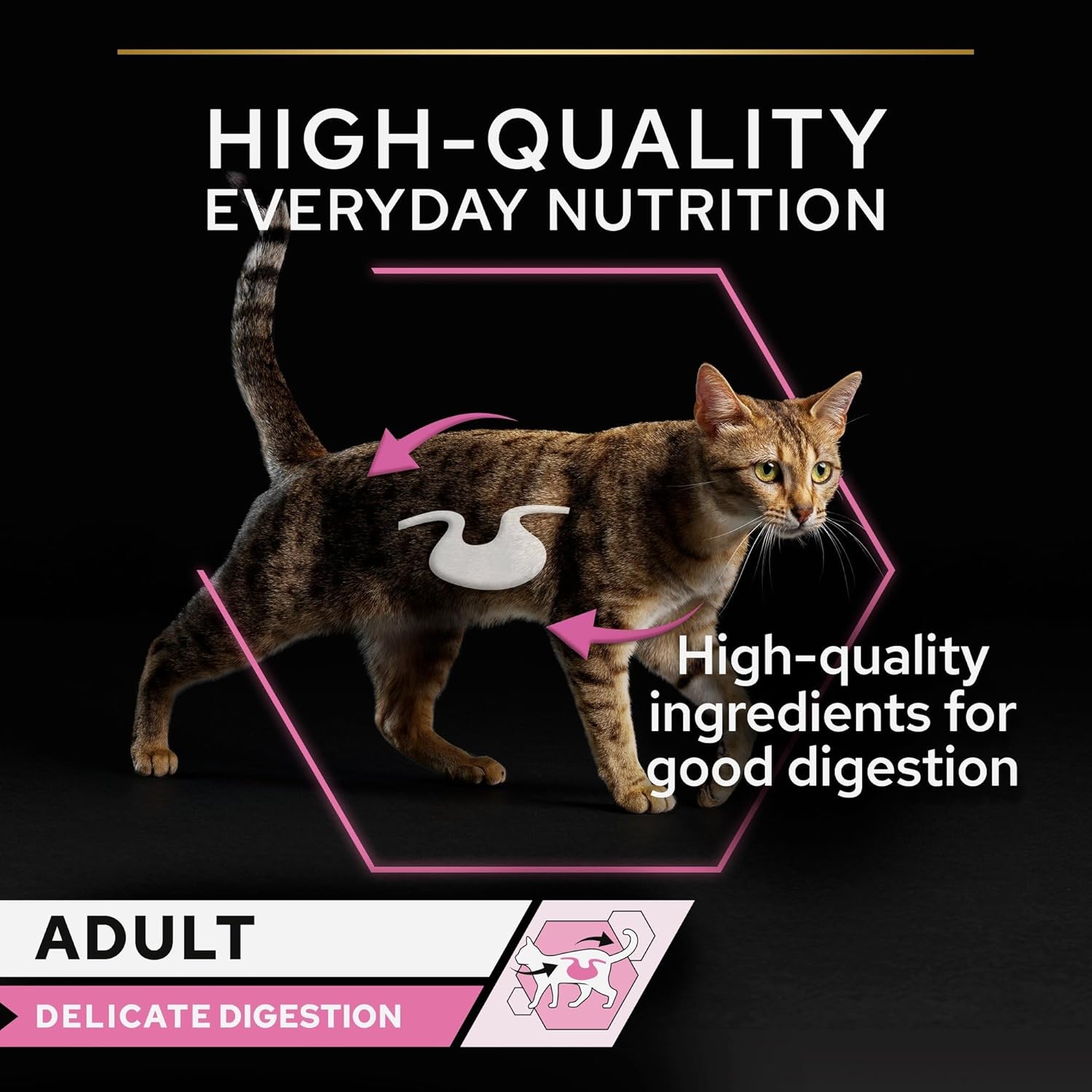 Purina Pro Plan Delicate Wet Cat Food, Oceanfish in Gravy, Multipack, 10 x 85g (Pack of 10)