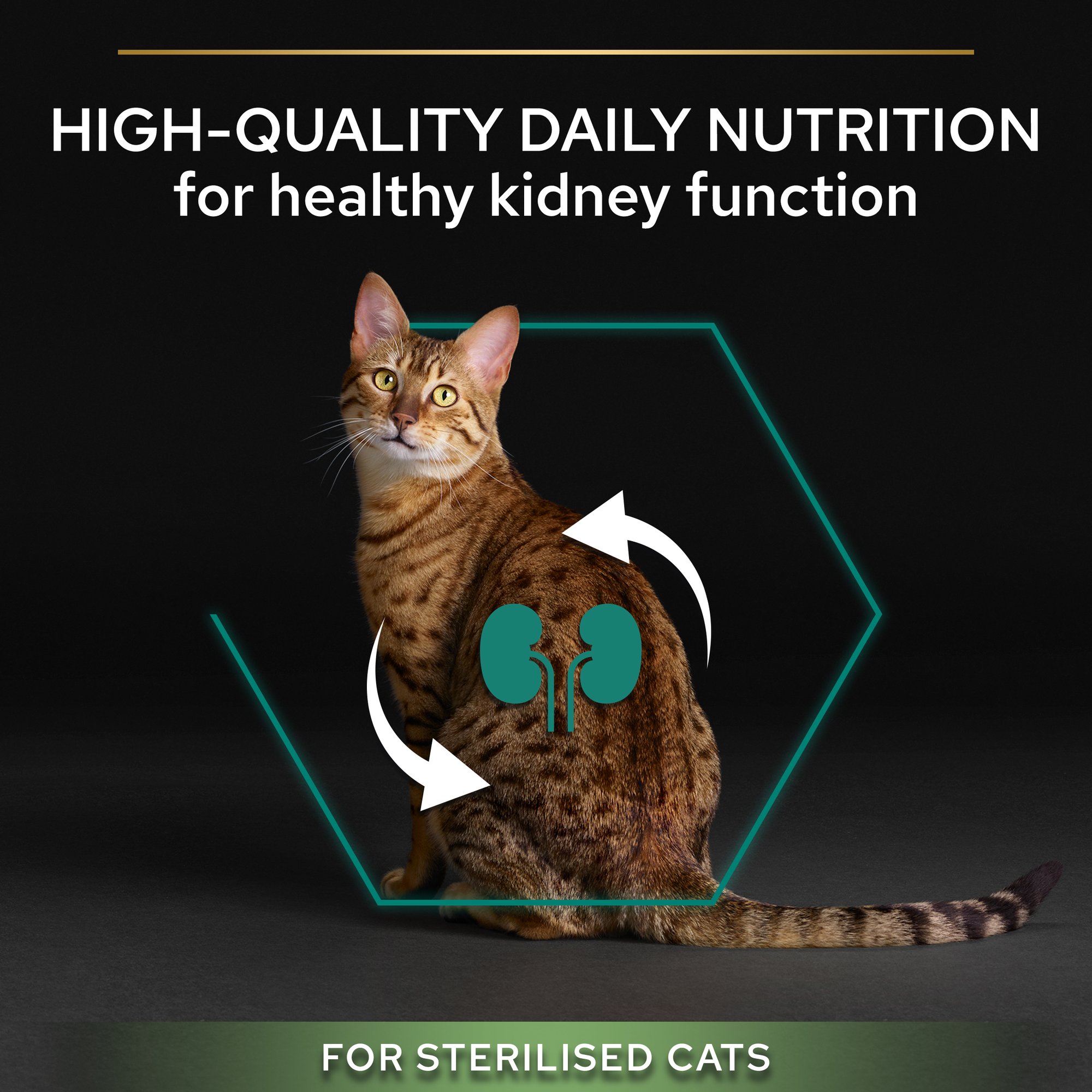 Purina Pro Plan Sterilised Cat Turkey 1.5Kg