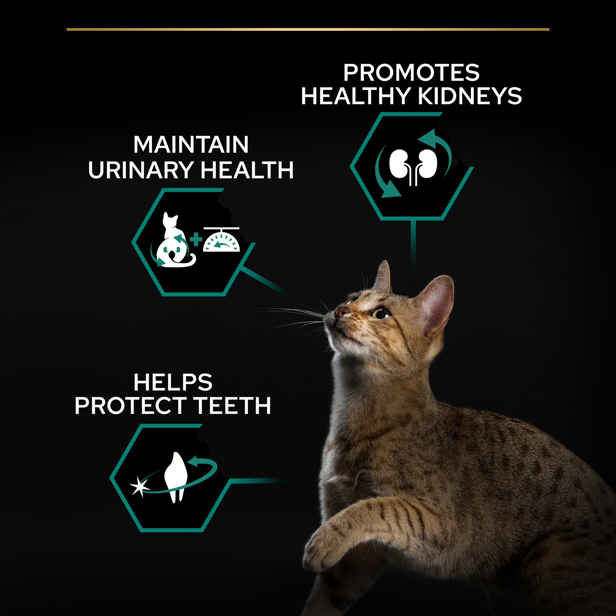 Purina Pro Plan Sterilised Cat Turkey 1.5Kg