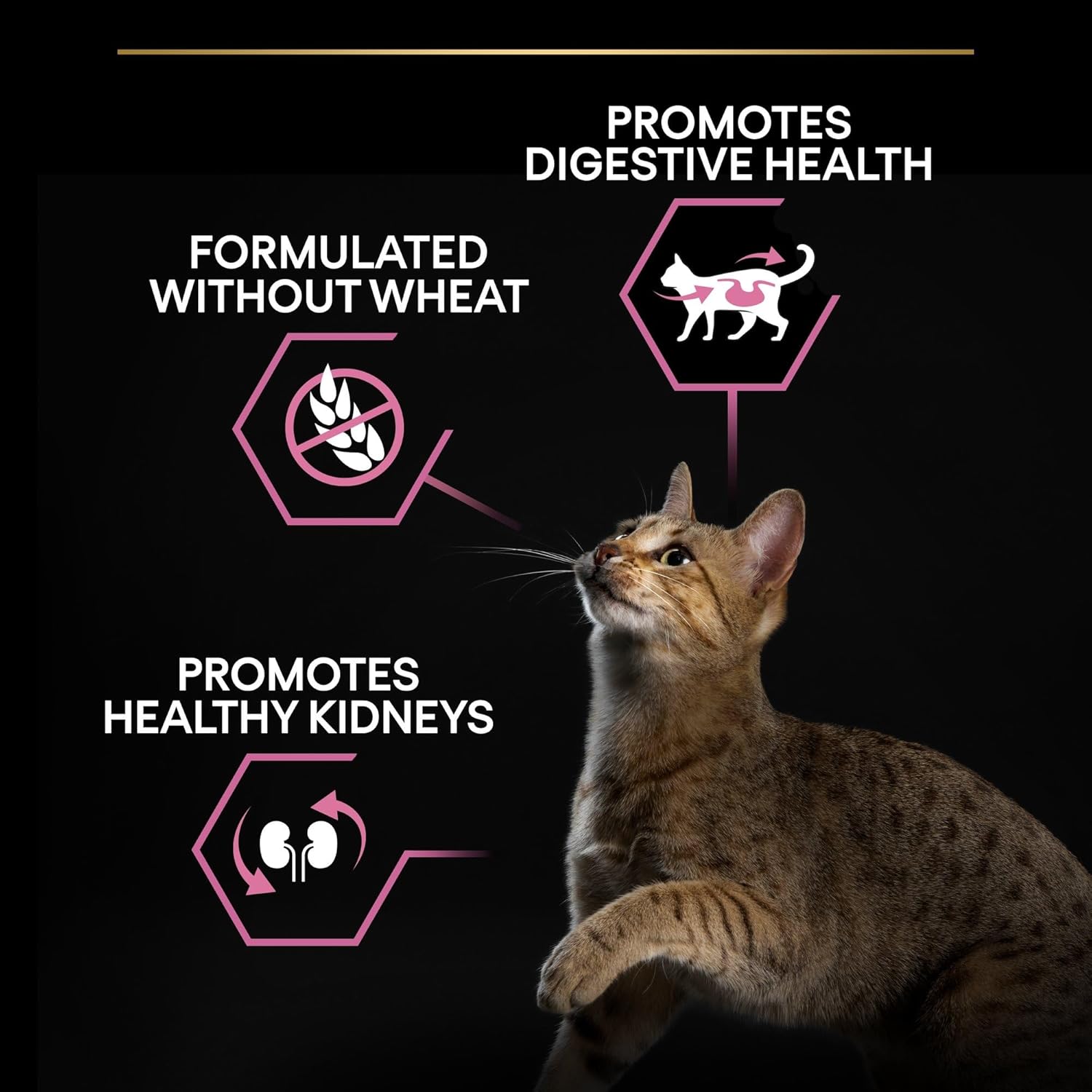 Pro Plan Adult Delicate Digestion, Dry Cat Food with Turkey 400 G