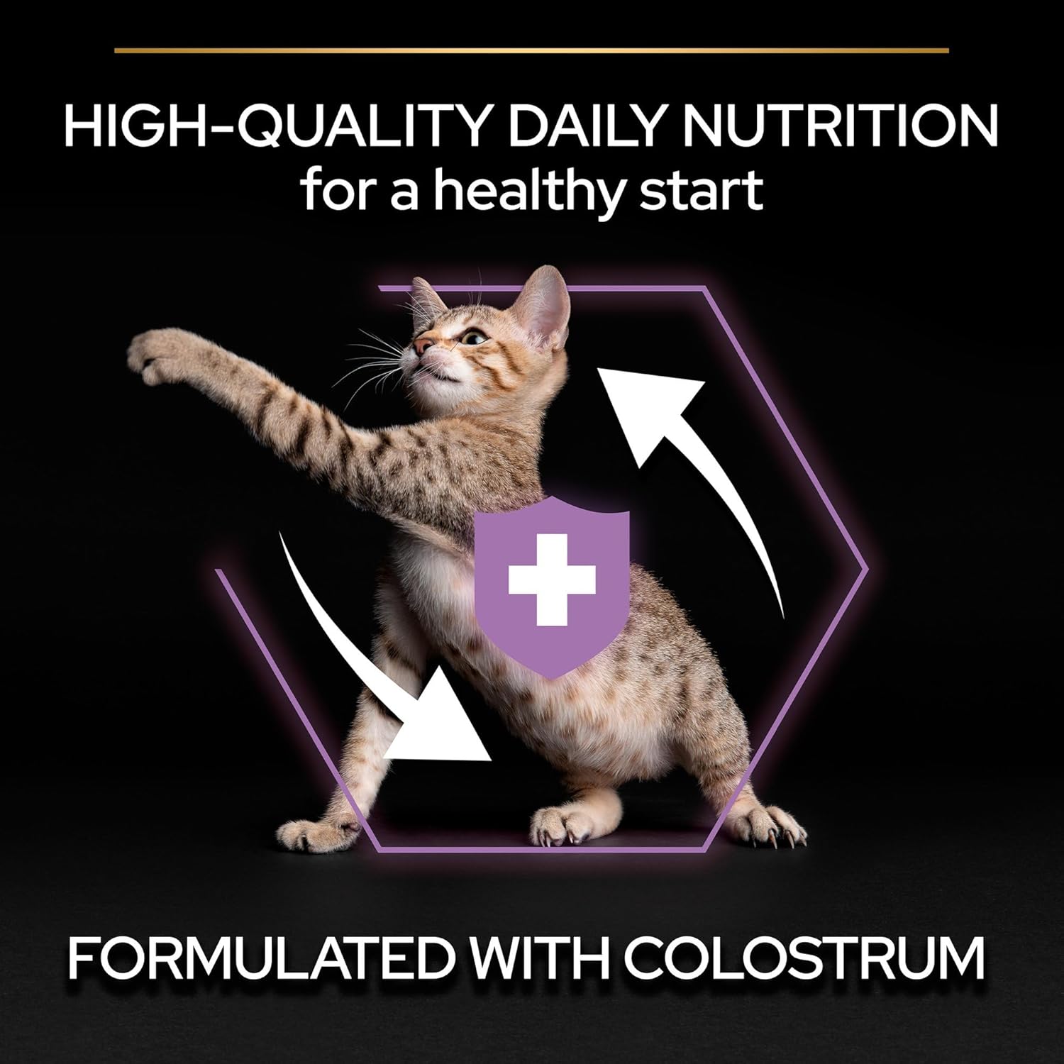 Pro Plan Kitten Healthy Start Dry Cat Food with Chicken 400 G