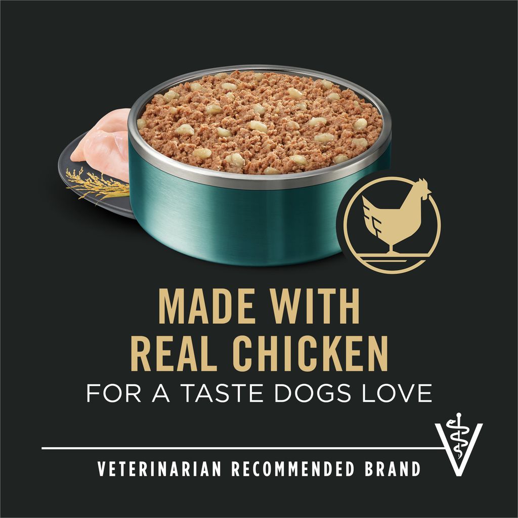 Pro Plan Puppy Small Breed Chicken And Brown Rice Entree Wet Dog Food 156g