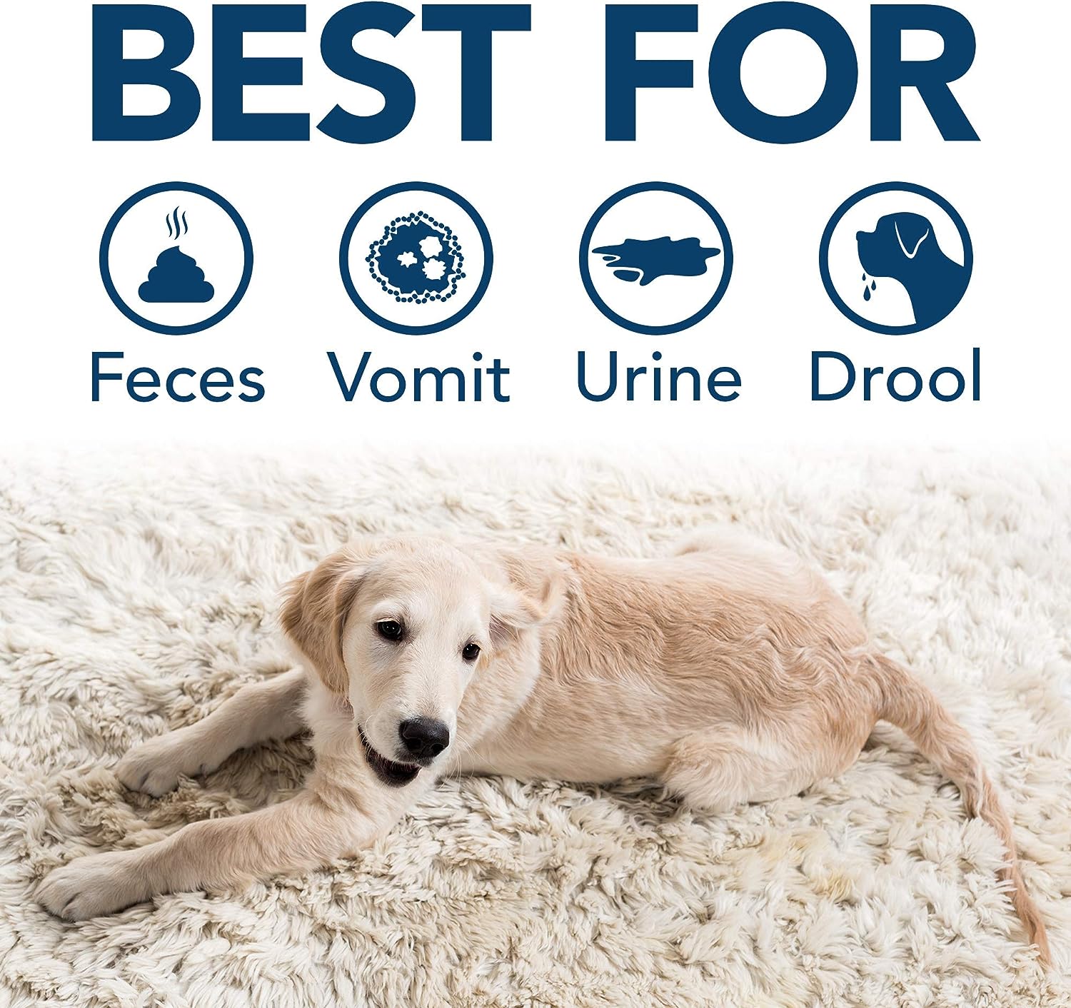 Simple Solution Dog Stain and Odour Remover, Rainforest Fresh, 750ml
