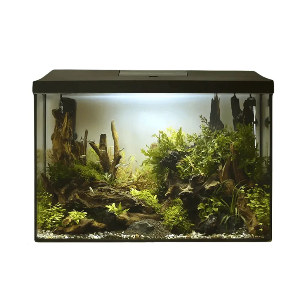 Aquael Leddy Aquarium Set XL Black Day & Night [Size - 40 cm]