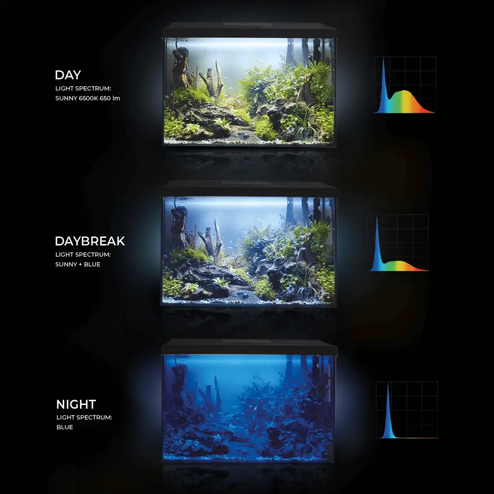 Aquael Leddy Aquarium Set XL Black Day & Night [Size - 60 cm]
