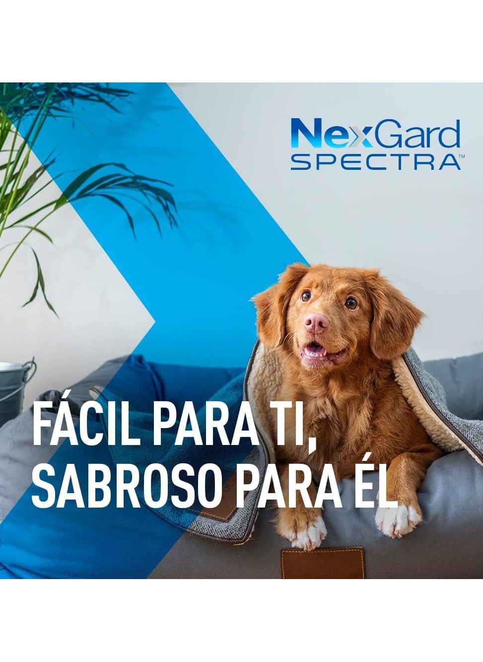 Nexgard Spectra M (7.6-15 Kg)