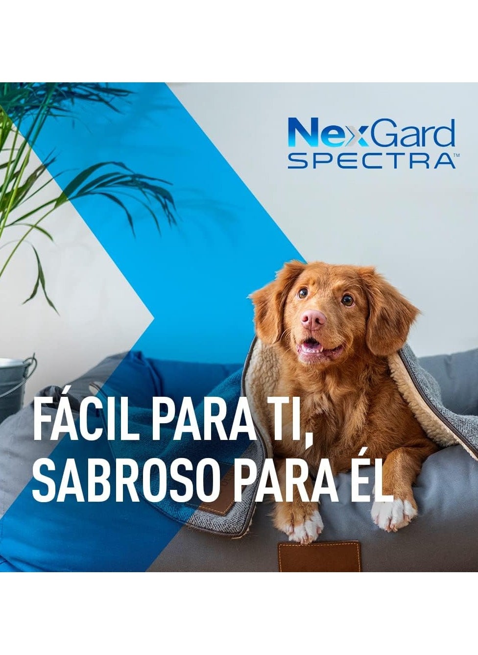 Nexgard Spectra Xs (2-3.5 Kg)