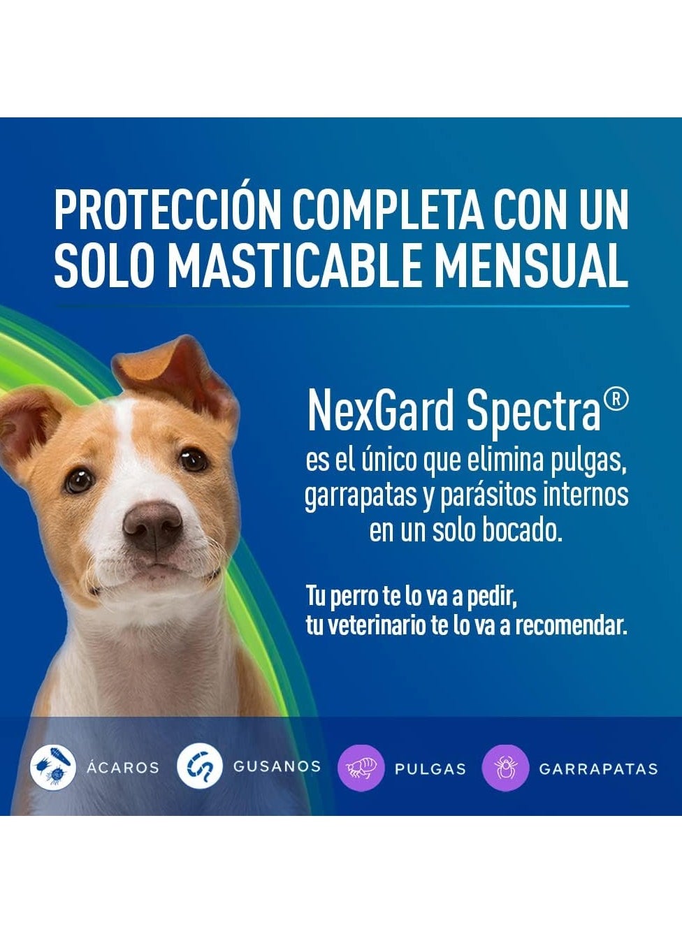 Nexgard Spectra Xs (2-3.5 Kg)