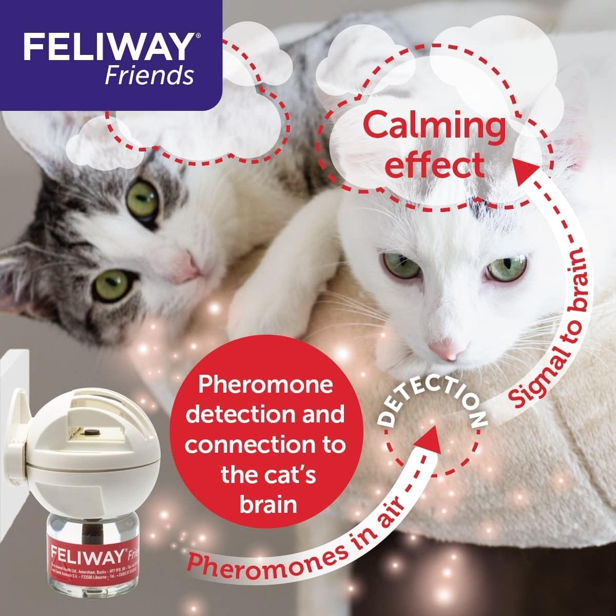 Feliway Friends Diffuser + Refill 48 ml