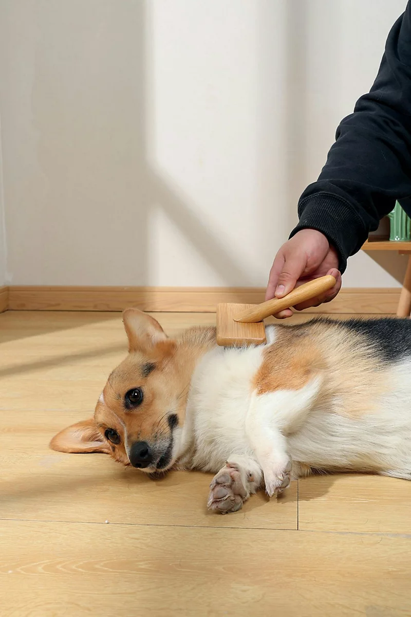 M-Pets Bamboo Slicker Brush M