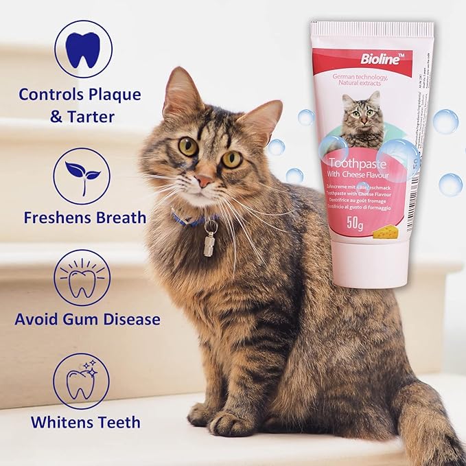 Bioline Cat Dental Care Set Cheese Flavor