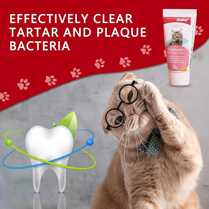 Bioline Cat Dental Care Set Cheese Flavor