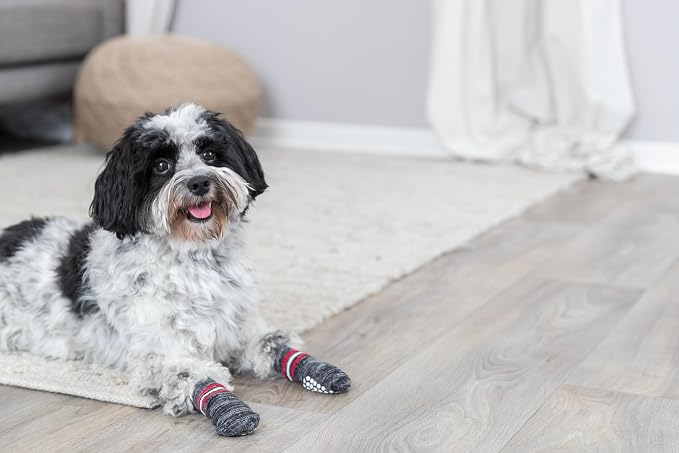 Trixie Slip-proof Socks for Dogs Size: XS-S