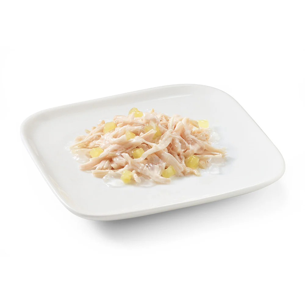 Schesir Dog Wet Food in Jelly Can-Chicken With Pineapple 150g